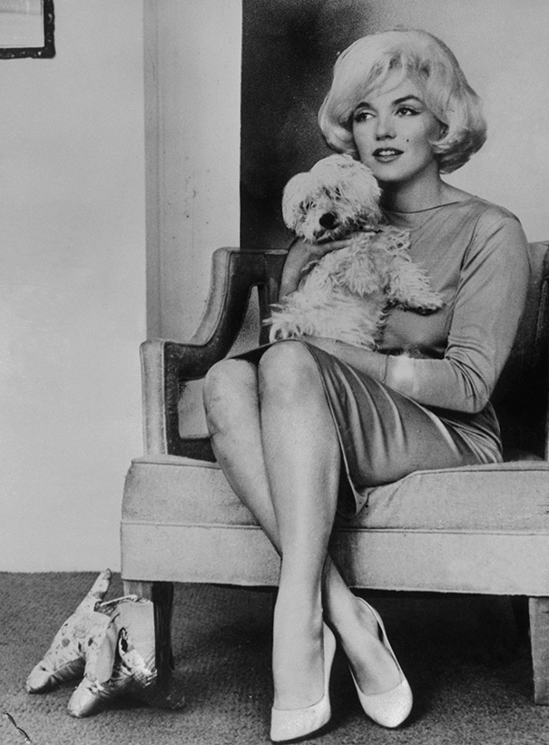 Cats And Dogs With Their Famous Humans