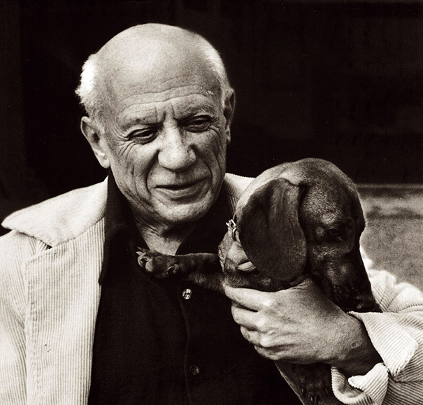 Cats And Dogs With Their Famous Humans