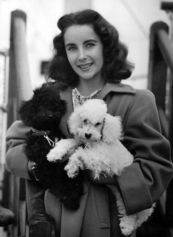 Cats And Dogs With Their Famous Humans