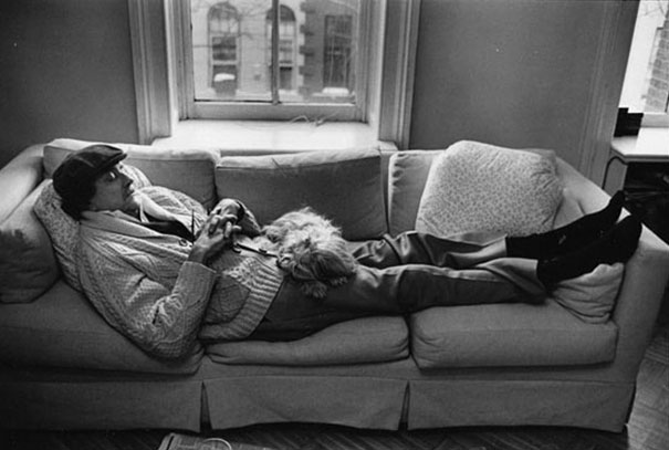 Cats And Dogs With Their Famous Humans