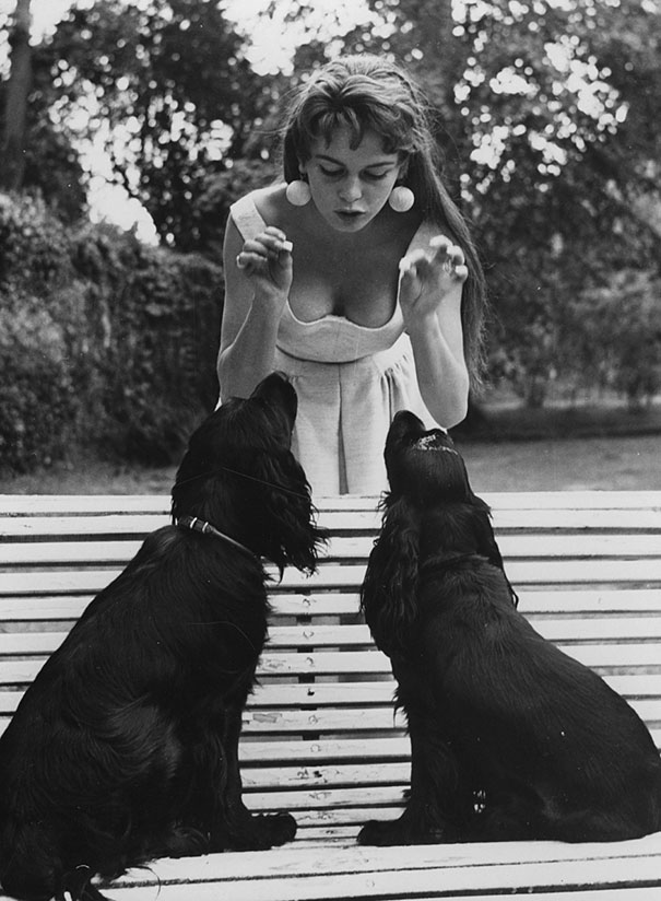 Cats And Dogs With Their Famous Humans