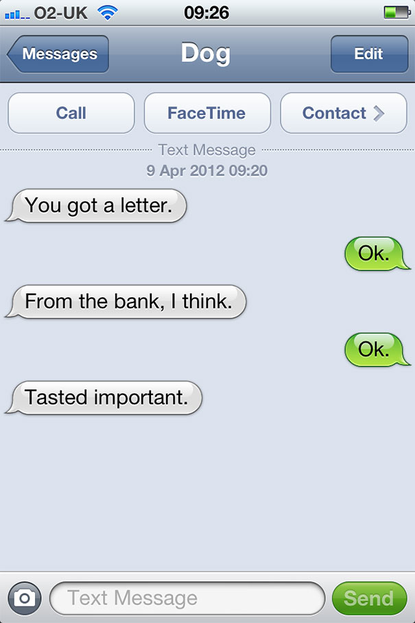What If Dogs Could Text? 25 Hilarious Texts From Dogs