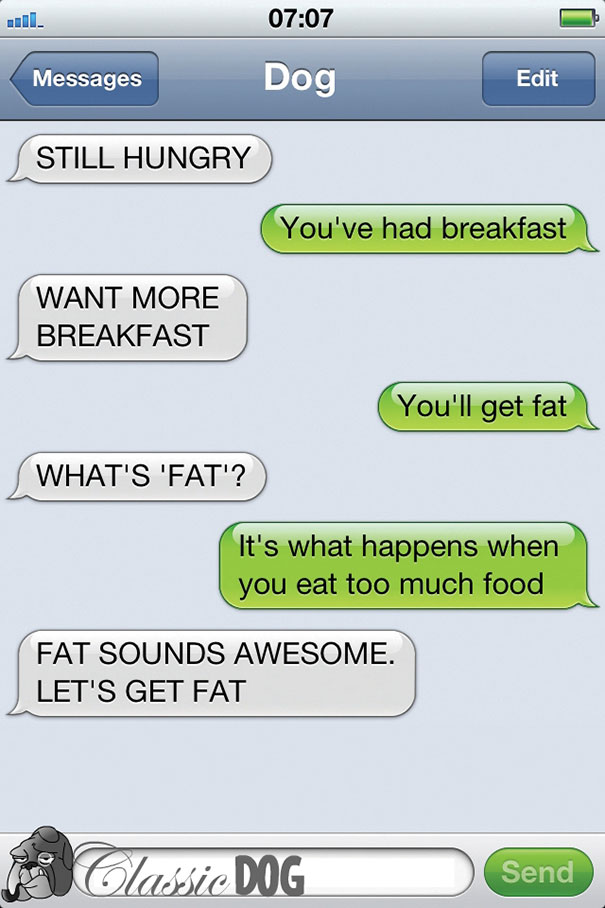 What If Dogs Could Text? 25 Hilarious Texts From Dogs