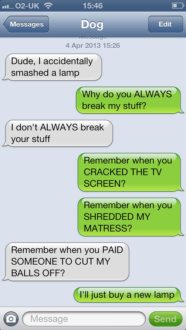 What If Dogs Could Text? 25 Hilarious Texts From Dogs