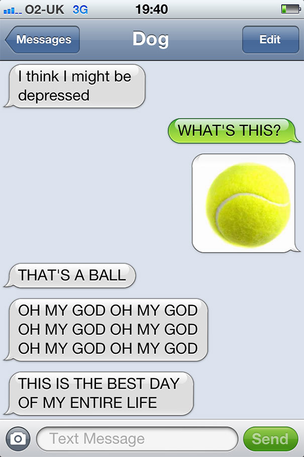 What If Dogs Could Text? 25 Hilarious Texts From Dogs
