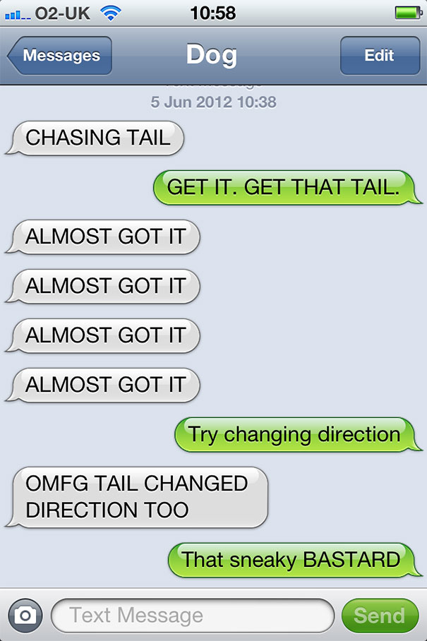 What If Dogs Could Text? 25 Hilarious Texts From Dogs