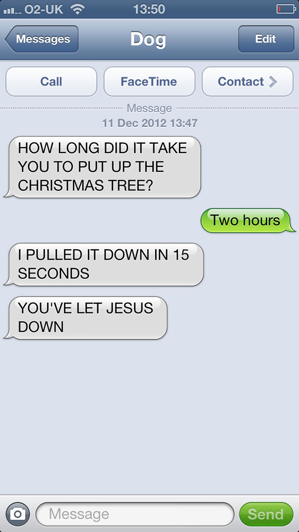 What If Dogs Could Text? 25 Hilarious Texts From Dogs