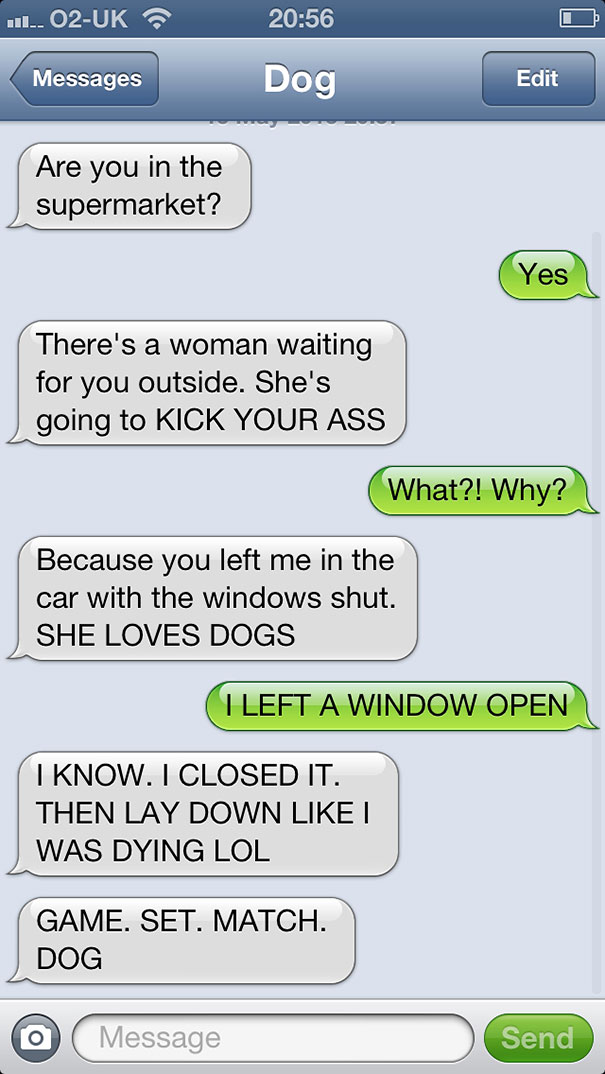 What If Dogs Could Text? 25 Hilarious Texts From Dogs