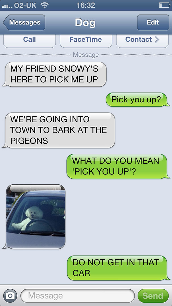 What If Dogs Could Text? 25 Hilarious Texts From Dogs