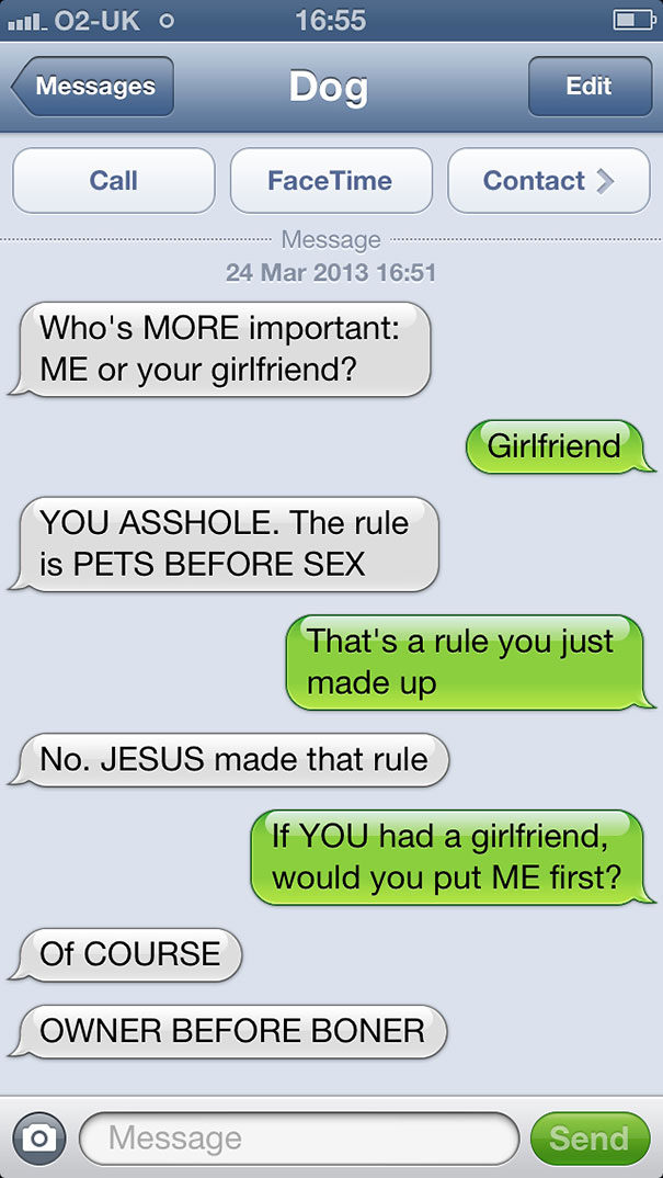 What If Dogs Could Text? 25 Hilarious Texts From Dogs