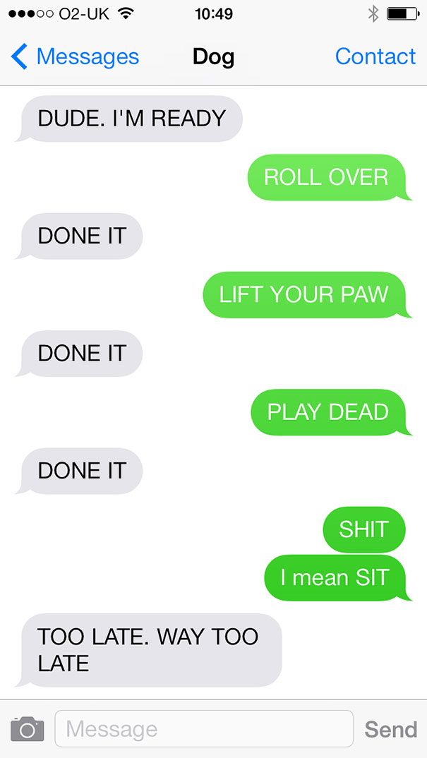 What If Dogs Could Text? 25 Hilarious Texts From Dogs