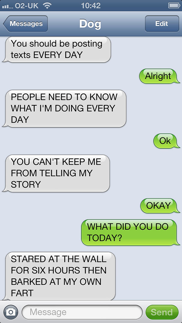 What If Dogs Could Text? 25 Hilarious Texts From Dogs