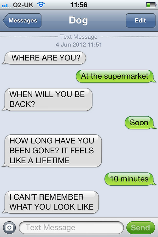 What If Dogs Could Text? 25 Hilarious Texts From Dogs