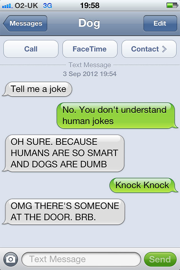 What If Dogs Could Text? 25 Hilarious Texts From Dogs