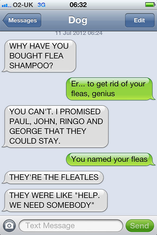 What If Dogs Could Text? 25 Hilarious Texts From Dogs