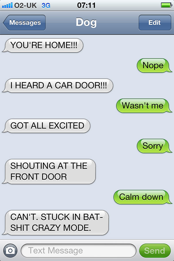 What If Dogs Could Text? 25 Hilarious Texts From Dogs