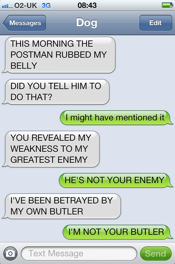 What If Dogs Could Text? 25 Hilarious Texts From Dogs