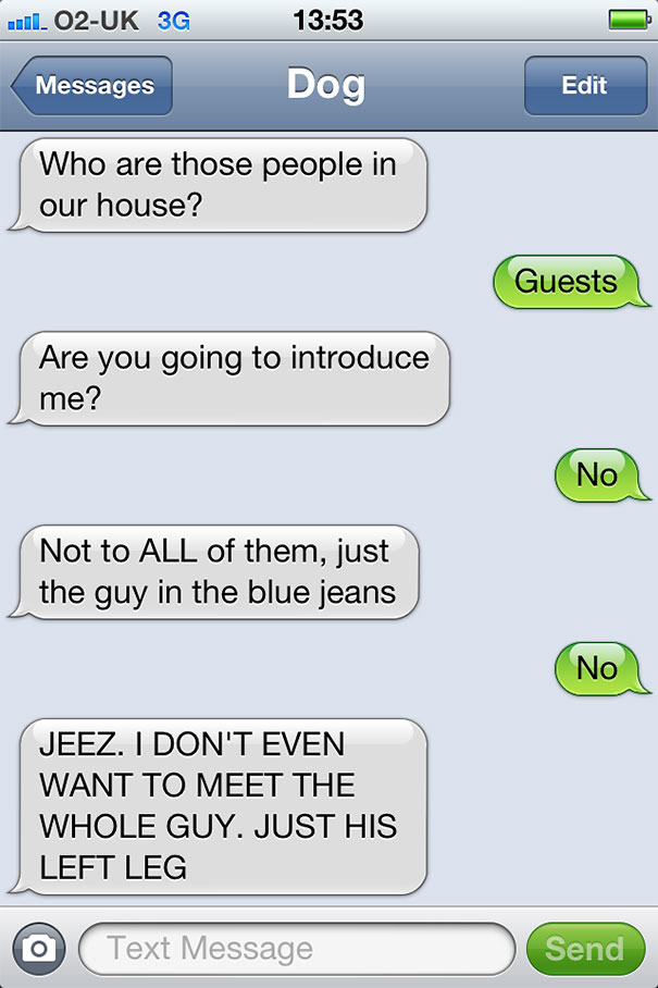 What If Dogs Could Text? 25 Hilarious Texts From Dogs