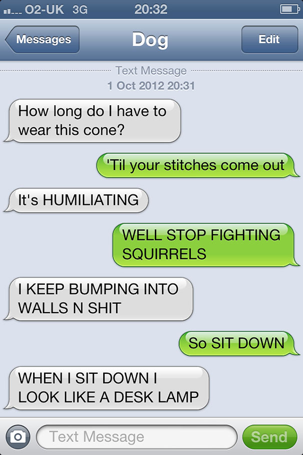 What If Dogs Could Text? 25 Hilarious Texts From Dogs