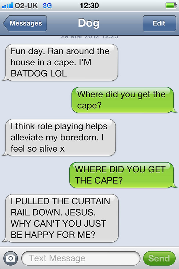 What If Dogs Could Text? 25 Hilarious Texts From Dogs