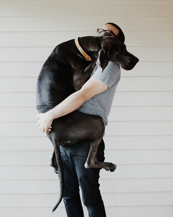 26 Dogs Hugging Their Humans