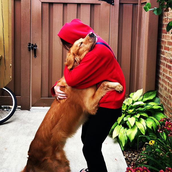 26 Dogs Hugging Their Humans