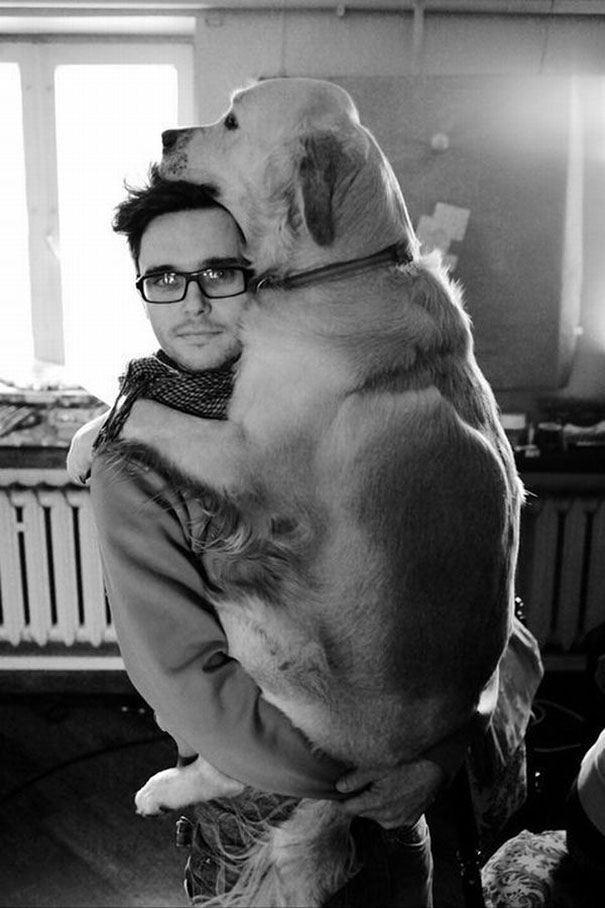 26 Dogs Hugging Their Humans