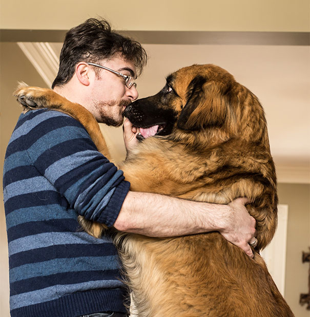 26 Dogs Hugging Their Humans