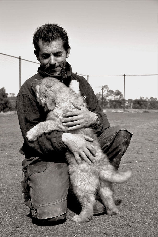 26 Dogs Hugging Their Humans