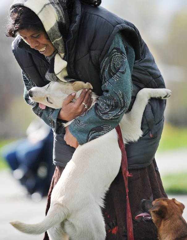 26 Dogs Hugging Their Humans
