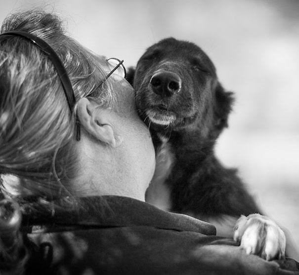 26 Dogs Hugging Their Humans