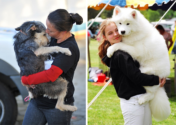26 Dogs Hugging Their Humans