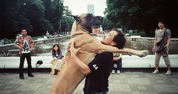 26 Dogs Hugging Their Humans