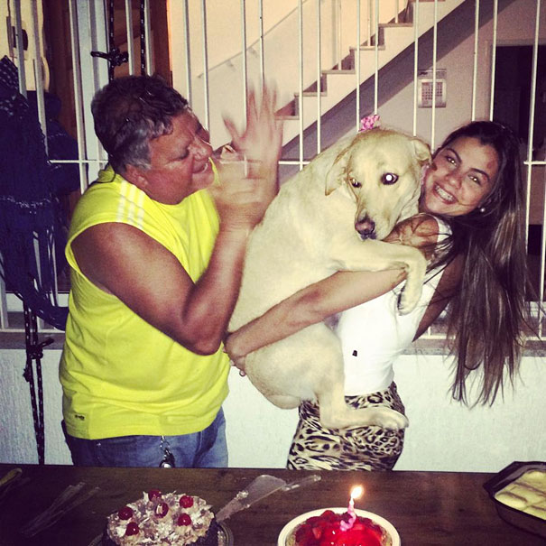 26 Dogs Hugging Their Humans