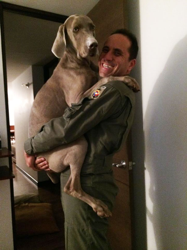 26 Dogs Hugging Their Humans