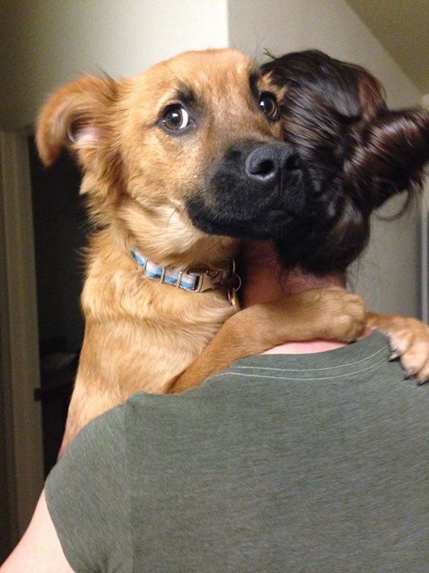 26 Dogs Hugging Their Humans