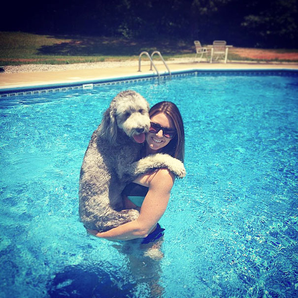 26 Dogs Hugging Their Humans