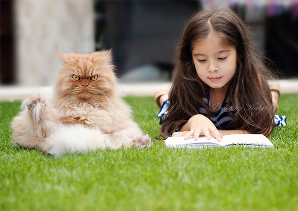114 Of The Most Famous Cats On The Internet