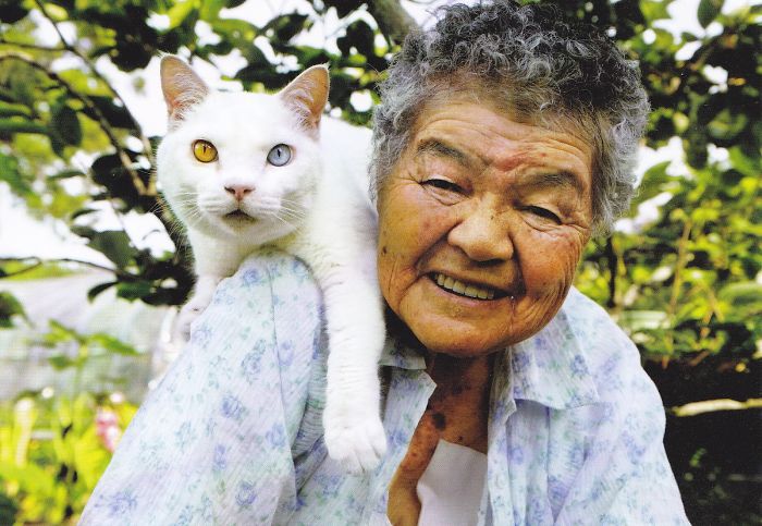114 Of The Most Famous Cats On The Internet