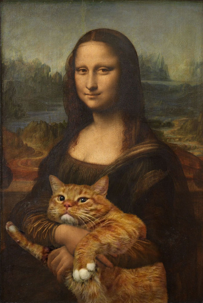 114 Of The Most Famous Cats On The Internet
