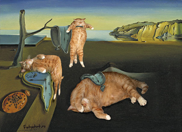 114 Of The Most Famous Cats On The Internet