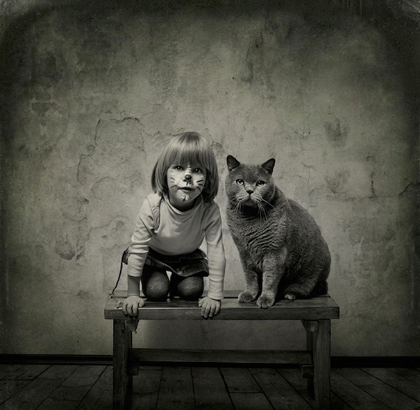 114 Of The Most Famous Cats On The Internet
