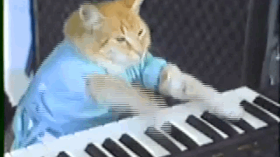 114 Of The Most Famous Cats On The Internet