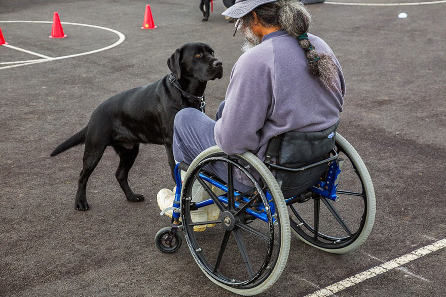 Photographer Takes Portraits Of The World’s Hardest-Working Dogs Photographer Takes Portraits Of The World’s Hardest-Working Dogs