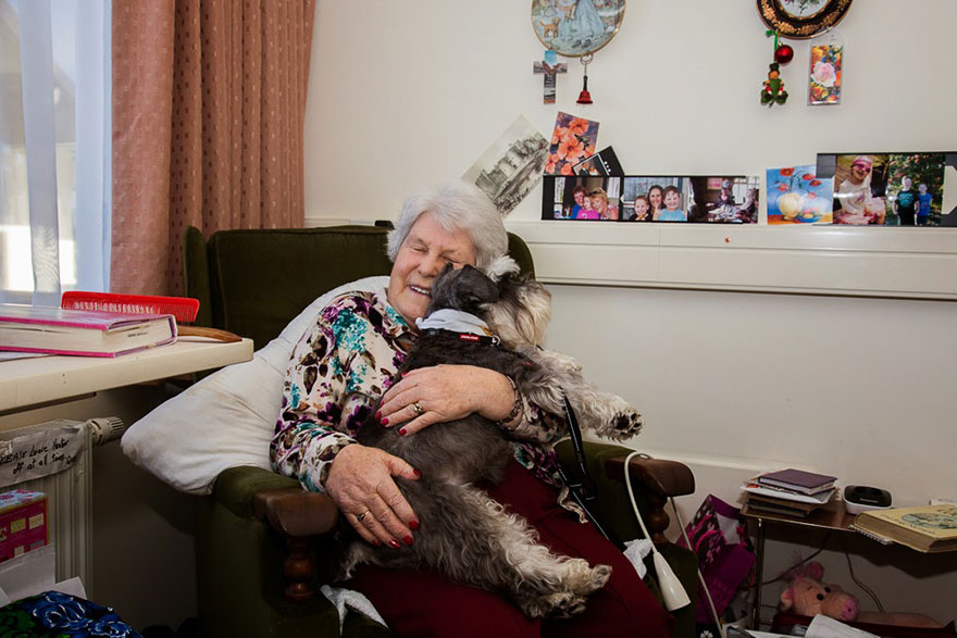 Photographer Takes Portraits Of The World’s Hardest-Working Dogs Photographer Takes Portraits Of The World’s Hardest-Working Dogs
