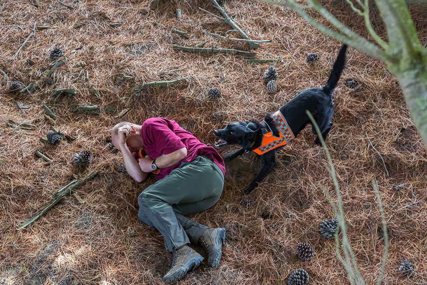 Photographer Takes Portraits Of The World’s Hardest-Working Dogs Photographer Takes Portraits Of The World’s Hardest-Working Dogs