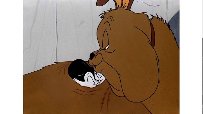80 Cats Who Use Dogs As Pillows