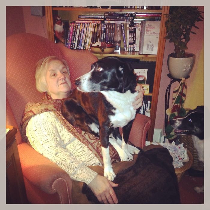 Dogs Can Be Assholes, Too Dogs Can Be Assholes, Too