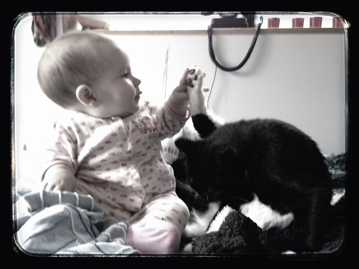 Dogs Can Be Assholes, Too Dogs Can Be Assholes, Too