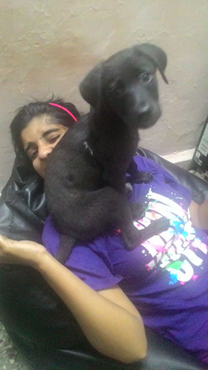 Dogs Can Be Assholes, Too Dogs Can Be Assholes, Too